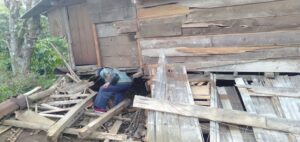 Gajah Liar Kembali Masuk Pemukiman Warga Di OKU Selatan, Rusak Pondok Hingga Tanaman Petani