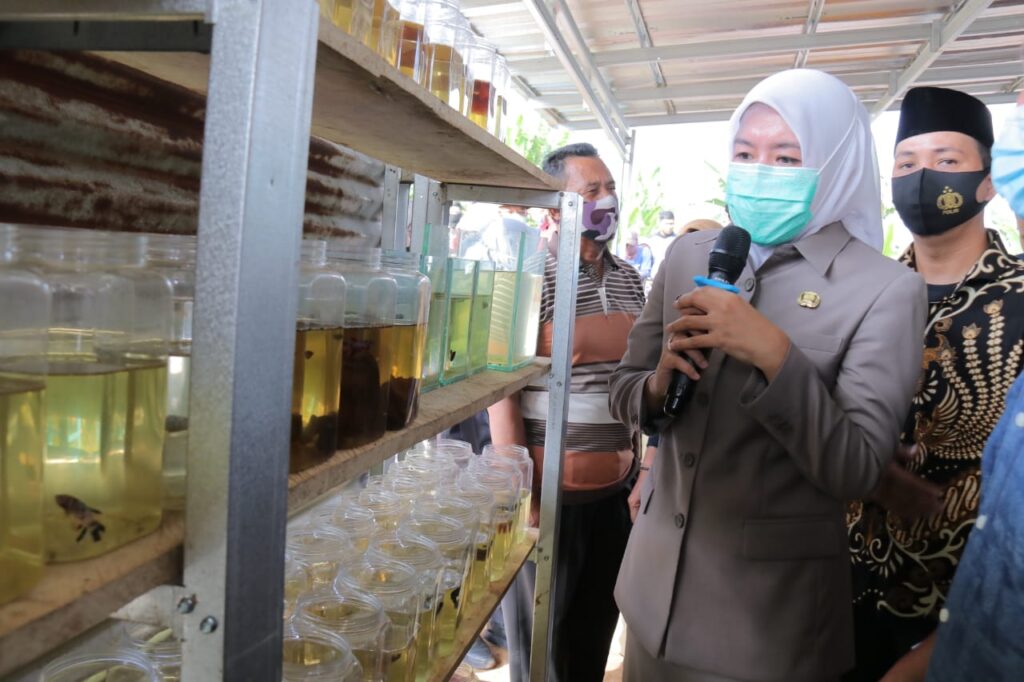 Fitrianti Agustinda Resmikan Panguyuban Pembudidayaan Ikan Hias