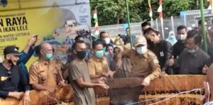 Bangkit Di Tengah Pandemi, Warga Desa Payo Galakkan Budidaya Lele