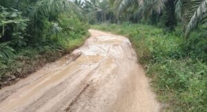 Jalan Antar Desa Kikim Tengah Di Lahat Belum Ada Perbaikan
