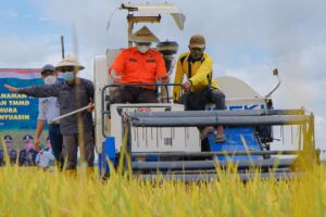 Dodi Reza Berhasil Bawa Muba Surplus 207.052 Ribu Ton Beras