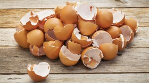 Ini Manfaat Cangkang Telur dan Cara Mengonsumsinya