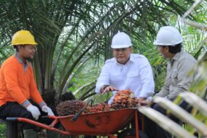 Bupati Muba Bakal Siapkan Bensin Sawit ke Seluruh Mobdin
