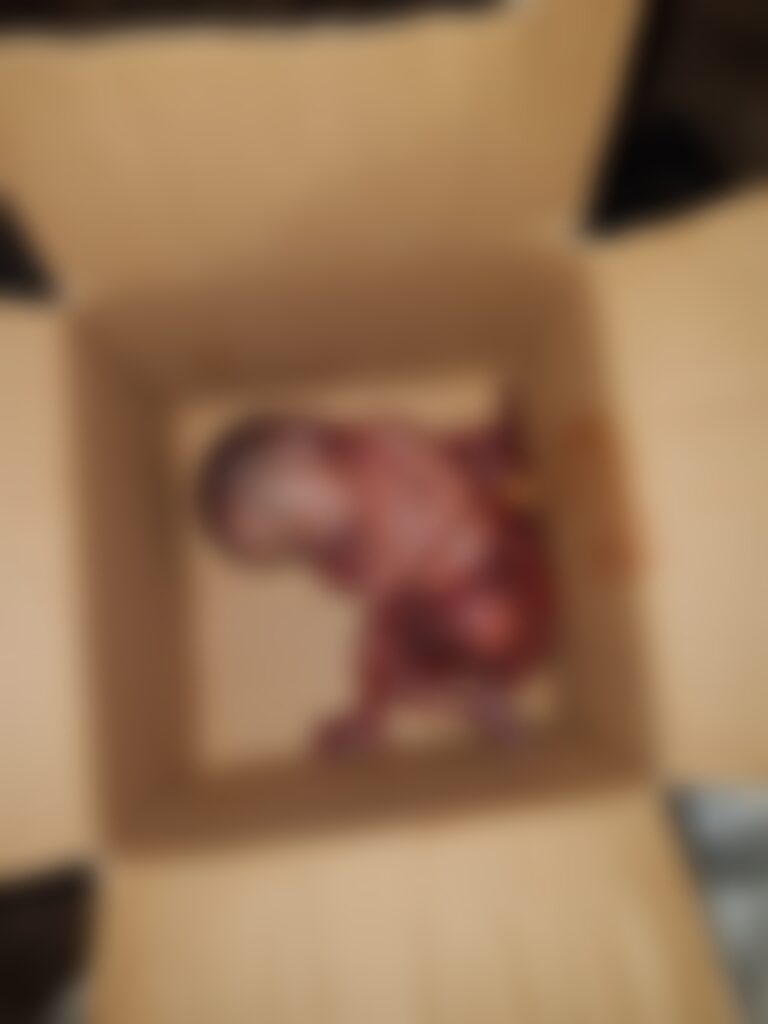 Mayat Bayi Ditemukan Di Tempat Sampah, Polisi Buru Orang Tua Korban