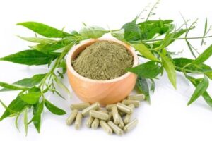 Tanaman Sambiloto Dan Khasiat  bagi Sistem Imun dalam Melawan COVID-19