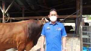 DPKP Palembang Pastikan Hewan Qurban Penuhi Syarat