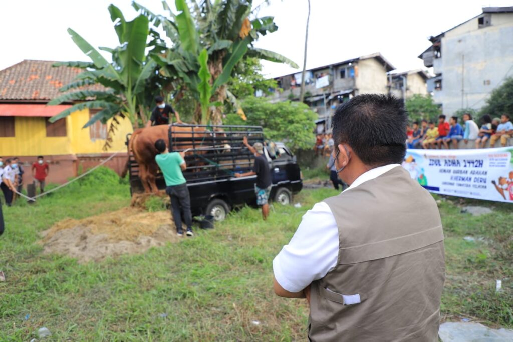 Idul Adha 1442 Hijriah, Herman Deru Sebar 100 Ekor Sapi  Untuk Masyarakat Sumsel