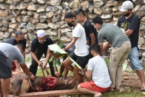 Korem 044/Gapo Kurbankan 5 Sapi dan 8 Kambing, Distribusinya Langsung Diantar ke Sasaran