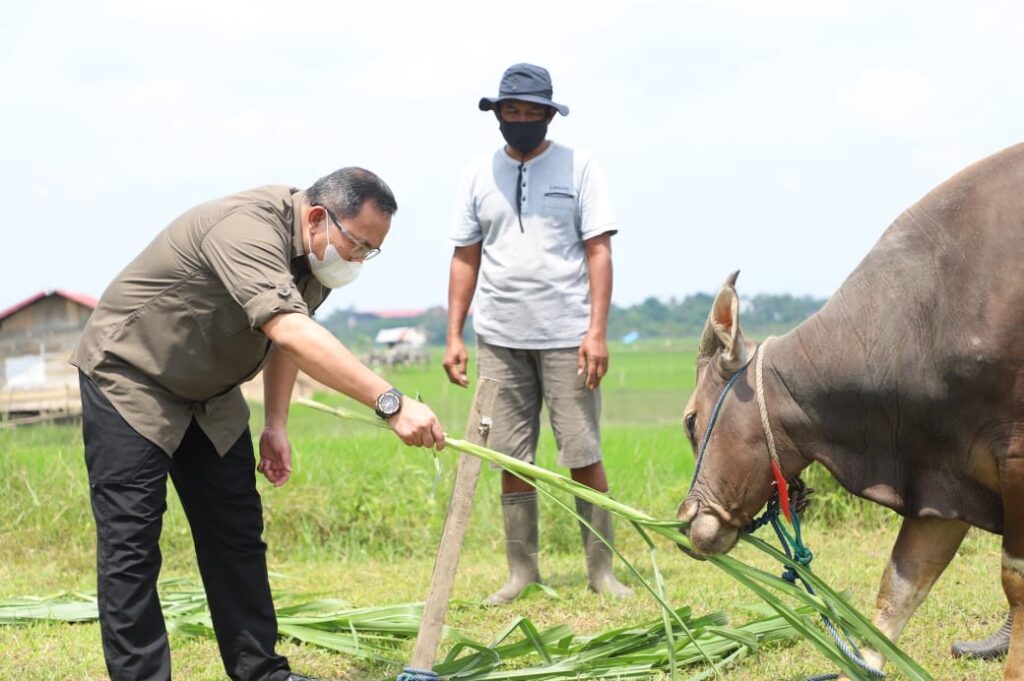 Dodi Reza Minta Pembagian Hewan Kurban Door to Door