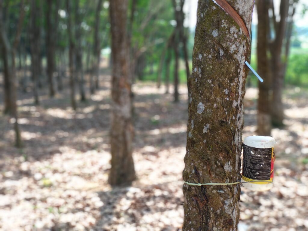 Tren Ekspor Karet Sumsel Menunjukkan Hasil Positif