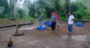 Polisi Tanjung Sakti Grebek Judi Sabung Ayam