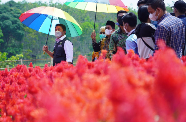 Taman Wisata Sumsel Terbaru, Instagramable Banget !