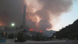 Pembangkit listrik di Turki Dievakuasi Saat Kebakaran Hutan Melanda