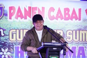 Herman Deru Semangati Warga Olah Cabai Lado Gerakkan Ekonomi di Desa-Desa 