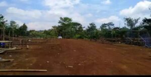 Lapak Arena Sabung Ayam Di Pagaralam Dibongkar Polisi