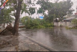 Jaga Kehandalan Listrik Saat Musim Hujan, PLN Siap Bekerjasama Dengan Pemkab Lahat