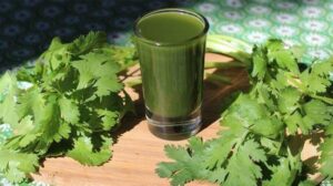 Begini Mengolah Daun Seledri untuk Jadi Obat Asam Urat