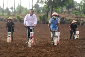 Presiden Jokowi Tanam Jagung Bersama Petani di Jeneponto