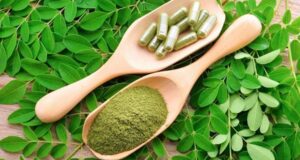 Manfaat Biji Kelor yang Menakjubkan untuk Tubuh