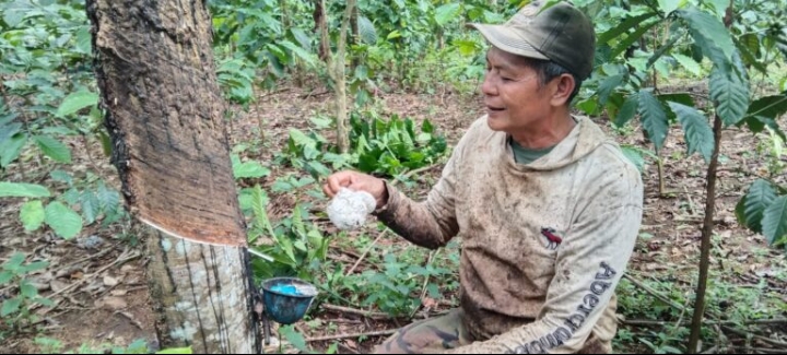 Petani Di Lahat Keluhkan Mahalnya Harga Pupuk Subsidi