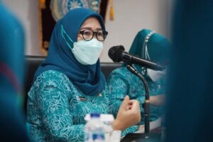 Feby Deru Gelar Webinar Bertajuk Tepak Songket Bersama PKK Kabupaten/Kota  Se Sumsel