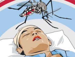 Kasus DBD Meningkat, Dewan Sebut Dinkes Lahat Lamban Antisipasi