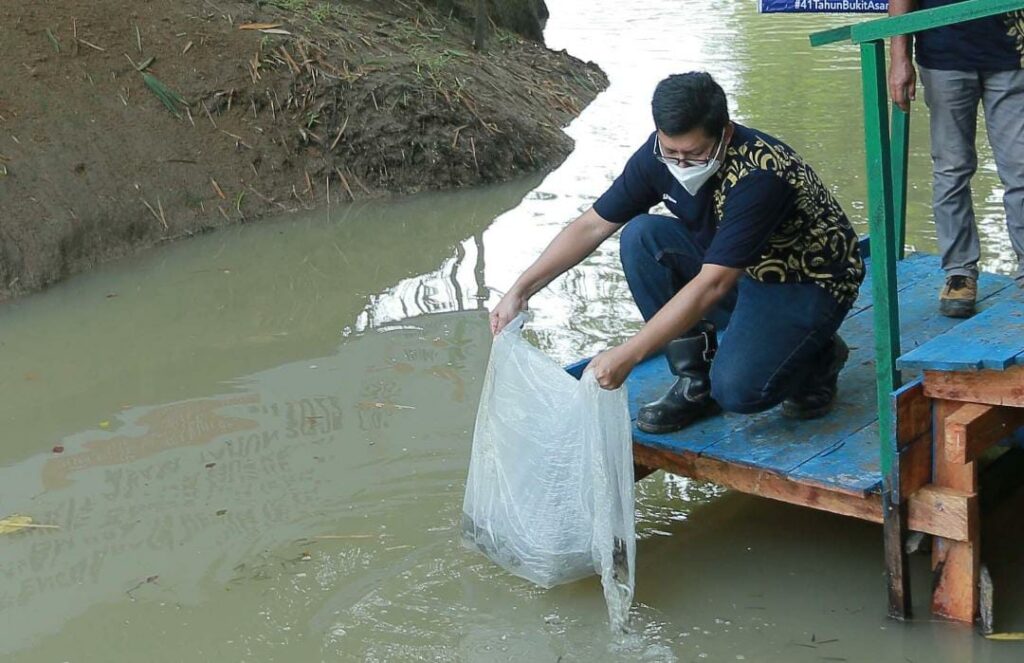 Peringati HUT ke-41, PT Bukit Asam Lakukan penebaran 16 Ribu Ekor Benih Ikan