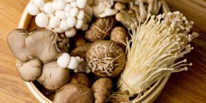 Manfaat Jamur untuk Kelengkapan Gizi Anak