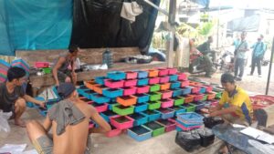 Sentra Pembuatan Cincau Di Ogan Ilir Kebanjiran Order,  Ribuan Kg Terjual Dalam Sehari