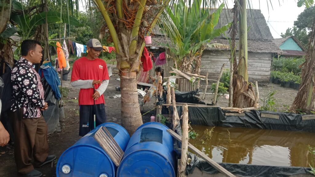 Diguyur Bantuan GSMP,  Peternak Lele Di Ogan Ilir Makin Perbanyak Kolam Pembesaran Lele