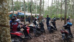 Bubarkan Gelanggang Judi Sabung Ayam,  Polisi Tahan 5 Warga