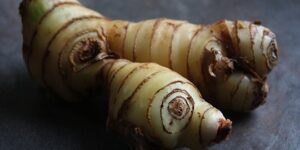 5 Manfaat Lengkuas bagi Kesehatan