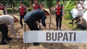 Dukung Ketahanan Pangan, Bupati Dan Kapolres Tanam Jagung Di Lahan Mapolres OI