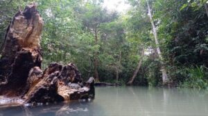 Wisata Alam Di Ogan Ilir Sajikan Ragam Pemandangan Alami