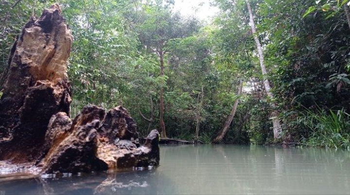 Wisata Alam Di Ogan Ilir Sajikan Ragam Pemandangan Alami