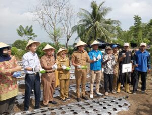 Dukung Petani Milenial, Bupati OI Ikut Tanam Bawang