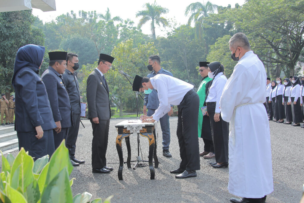 30 Tahun Mengabdi Sebagai Honorer, Bu Enna Akhirnya Dilantik Jadi ASN