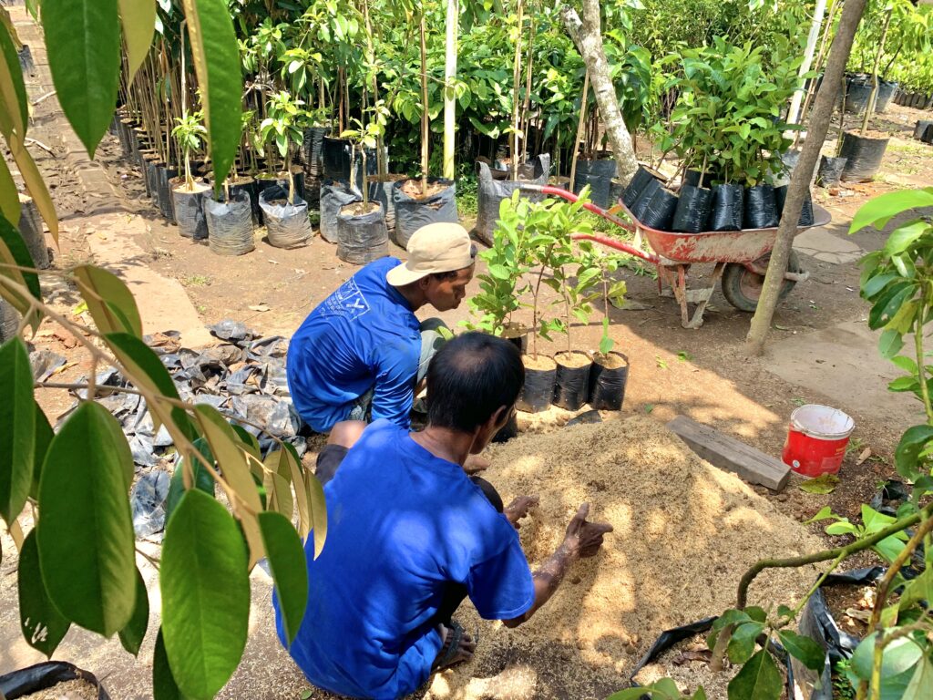 Sukaraja Baru Dengan Potensi Pembibitannya yang Beragam