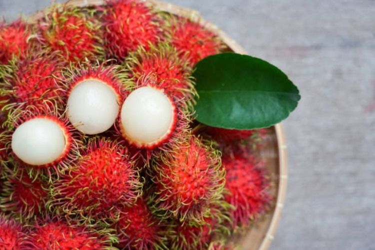 Fakta Rambutan Diklaim Dapat Cegah Diabetes