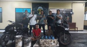 Resahkan Petani, Pelaku Pencurian Getah Karet Diringkus Polisi