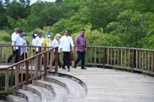 Tinjau Tahura Ngurah Rai, Presiden: Ini Tunjukkan Kepedulian Indonesia terhadap Lingkungan