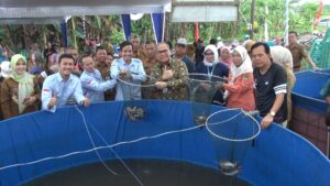 GNPIP BI Sumsel Perkuat Sektor Perikanan Di Prabumulih