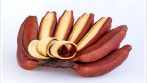 Khasiat Kesehatan Pisang Merah