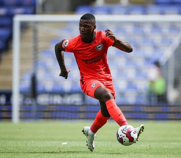 Brighton Siap Lepas Moises Caicedo