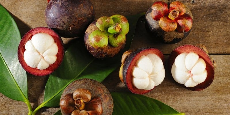 Manfaat Buah Manggis Untuk Kesehatan