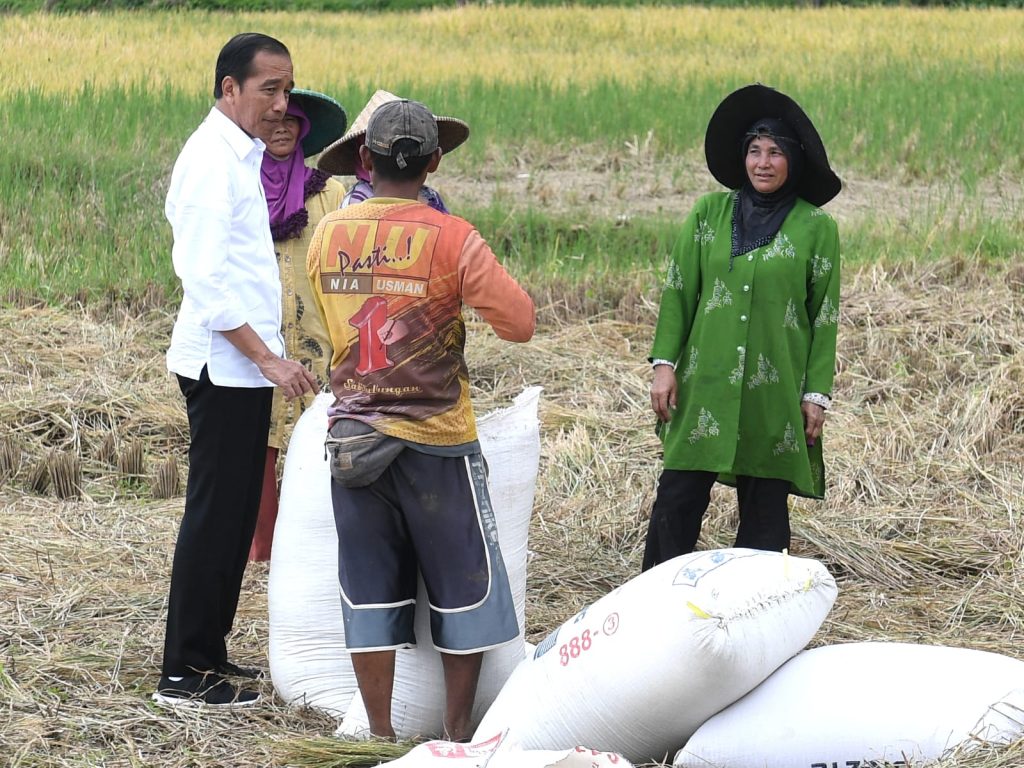 Presiden Jokowi Hampiri Petani yang Sedang Panen, Cek Langsung Harga Gabah