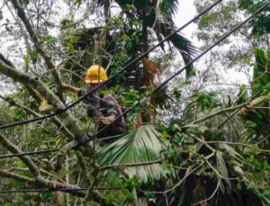 PLN UP3 Indralaya Cari Penyebab Seringnya Padam Listrik Di Daerahnya