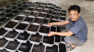 Usaha Cincau Di Bulan Ramadan, Bikin Agus Banjir Pesanan