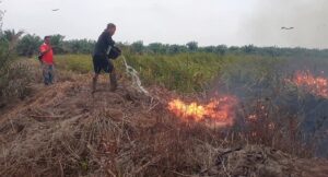 Karhutlah Di OI Terus Meluas, Padam Di Desa Ibul Membara Di Desa Arisan
