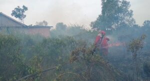 Karhutlah Di OI Semakin Meluas, Mulai Dekati Pemukiman Warga